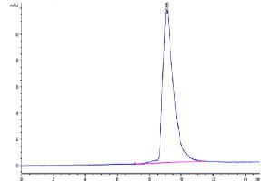 Size-exclusion chromatography-High Pressure Liquid Chromatography (SEC-HPLC) image for Anthrax Toxin Receptor 2 (ANTXR2) (AA 32-318) protein (His tag) (ABIN7273842)