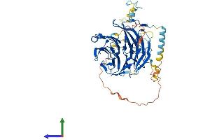 AlphaFold protein structure predicition of Mouse Recombinant Pwp1 Protein, UniprotID Q99LL5