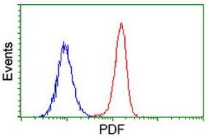Image no. 2 for anti-Growth Differentiation Factor 15 (GDF15) antibody (ABIN1500099) (GDF15 抗体)