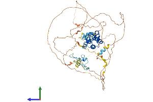 Protein Structure (PS) image for Male-Specific Lethal 2 Homolog (MSL2) (AA 1-577) protein (His tag) (ABIN7554620)
