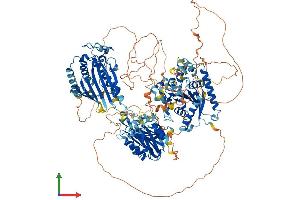Protein Structure (PS) image for Phosphatidylinositol Transfer Protein, Membrane-Associated 1 (PITPNM1) (AA 1-1244) protein (His tag) (ABIN7554968)
