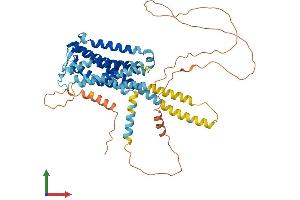 Protein Structure (PS) image for Prostaglandin E Receptor 4 (Subtype EP4) (PTGER4) (AA 1-513) protein (His tag) (ABIN7563131)