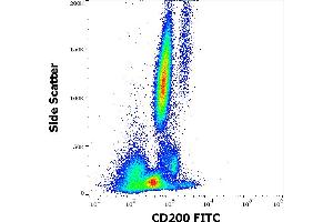 Flow cytometry surface staining pattern of human peripheral whole blood stained using anti-human CD200 (OX-104) FITC antibody (4 μL reagent / 100 μL of peripheral whole blood). (CD200 抗体  (FITC))