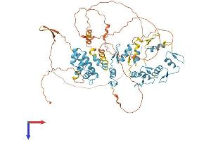 ZNF202 Protein (AA 1-648) (His tag)