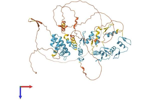 ZNF202 Protein (AA 1-648) (His tag)