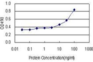 Sandwich ELISA detection sensitivity ranging from 3 ng/mL to 100 ng/mL. (ZNF511 (人) Matched Antibody Pair)