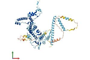 AlphaFold protein structure predicition of Human Recombinant PES1 Protein, UniprotID O00541