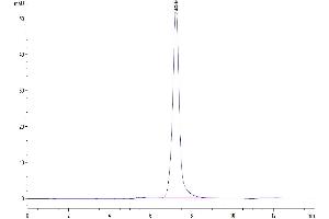 Selectin E (SELE) (AA 22-557) protein (His tag)