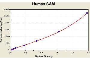 Diagramm of the ELISA kit to detect Human CAMwith the optical density on the x-axis and the concentration on the y-axis. (Calmodulin 1 ELISA 试剂盒)