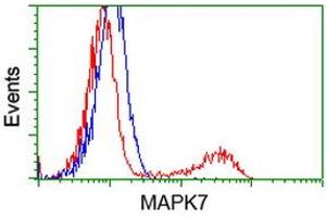 Flow Cytometry (FACS) image for anti-Mitogen-Activated Protein Kinase 12 (MAPK12) antibody (ABIN1499304) (MAPK12 抗体)