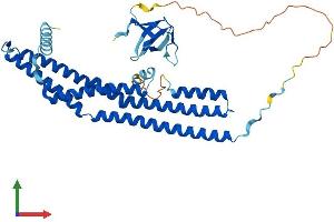 AlphaFold protein structure predicition of Human Recombinant SH3GL1 Protein, UniprotID Q99961