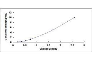 Typical standard curve (KCNN2 ELISA 试剂盒)