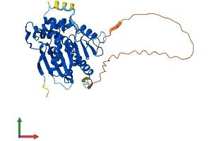 Protein Structure (PS) image for NDRG Family Member 4 (NDRG4) (AA 1-352) protein (His tag) (ABIN7558872)