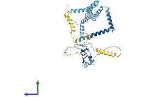 Protein Structure (PS) image for Zinc Finger, FYVE Domain Containing 27 (ZFYVE27) (AA 1-411) protein (His tag) (ABIN7545386)