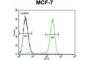 Flow cytometric analysis of MCF-7 cells using Otopetrin-3 Antibody (C-term) Cat. (OTOP3 抗体  (C-Term))