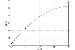 A typical standard curve (APEX1 ELISA 试剂盒)