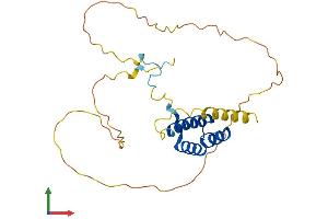 AlphaFold protein structure predicition of Mouse Recombinant Hoxc8 Protein, UniprotID P09025
