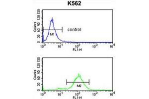 Flow Cytometry (FACS) image for anti-Apolipoprotein B mRNA Editing Enzyme, Catalytic Polypeptide-Like 3F (APOBEC3F) (AA 28-57), (N-Term) antibody (ABIN950460)