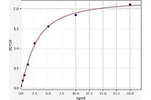 Typical standard curve (SLC26A4 ELISA 试剂盒)