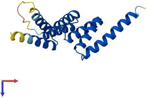 Tetratricopeptide Repeat Domain 32 (TTC32) (AA 1-151) protein (His tag)