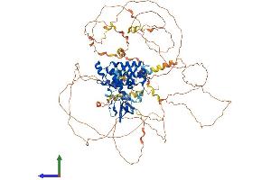 Protein Structure (PS) image for RUN and SH3 Domain Containing 1 (RUSC1) (AA 1-893) protein (His tag) (ABIN7564328)