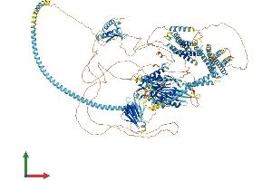 Protein Structure (PS) image for Kinesin Family Member 14 (KIF14) (AA 1-1648) protein (His tag) (ABIN7554364)