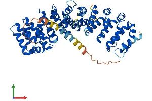 AlphaFold protein structure predicition of Human Recombinant TMCO6 Protein, UniprotID Q96DC7 (TMCO6 Protein (AA 1-493) (His tag))