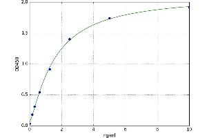 NFAT Activating Protein with ITAM Motif 1 (NFAM1) ELISA Kit