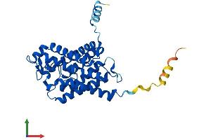 Protein Structure (PS) image for Aquaporin 3 (Gill Blood Group) (AQP3) (AA 1-292) protein (His tag) (ABIN7552261)