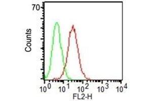 Flow Cytometry of KG-1 cells using CD34 Monoclonal Antibody (HPCA1/1171) (red) & isotype control (green). (CD34 抗体)