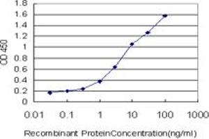 Detection limit for recombinant GST tagged ALPL is approximately 0. (ALPL 抗体  (AA 91-200))