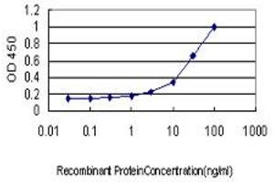 Detection limit for recombinant GST tagged MAPK9 is approximately 3ng/ml as a capture antibody. (JNK2 抗体  (AA 1-424))
