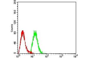 Flow cytometric analysis of Hela cells using MTA1 mouse mAb (green) and negative control (red). (MTA1 抗体  (AA 541-715))