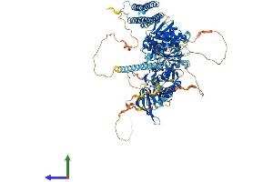 Protein Structure (PS) image for PTK2B Protein tyrosine Kinase 2 beta (PTK2B) (AA 1-1009) protein (His tag) (ABIN7553880)