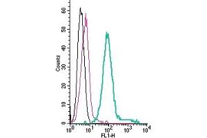 Cell surface detection of Ret receptor by direct flow cytometry in live intact mouse J774 macrophage cells: + Rabbit IgG Isotype Control-FITC (ABIN7582044).