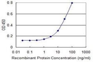 ELISA image for anti-Chloride Channel, Voltage-Sensitive 6 (CLCN6) (AA 770-868) antibody (ABIN514446)