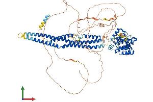 Protein Structure (PS) image for rho GTPase Activating Protein 44 (ARHGAP44) (AA 1-818) protein (His tag) (ABIN7555231)