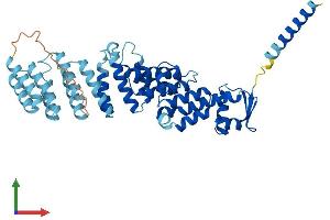 Protein Structure (PS) image for COP9 Constitutive Photomorphogenic Homolog Subunit 2 (Arabidopsis) (COPS2) (AA 1-443) protein (His tag) (ABIN7553582)