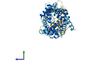 Protein Structure (PS) image for Solute Carrier Family 25 (Mitochondrial Carrier, Phosphate Carrier), Member 23 (SLC25A23) (AA 1-467) protein (His tag) (ABIN7557914)