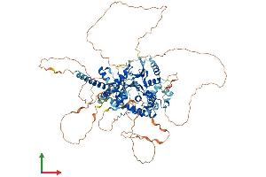 Protein Structure (PS) image for OTU Domain Containing 7B (OTUD7B) (AA 1-840) protein (His tag) (ABIN7562055)