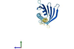 Protein Structure (PS) image for Slowmo Homolog 2 (SLMO2) (AA 1-195) protein (His tag) (ABIN7560763)