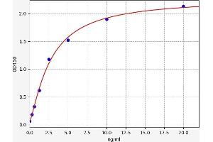 Typical standard curve (NRD1 ELISA 试剂盒)