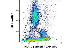 Flow cytometry surface staining pattern of human peripheral whole blood stained using anti-human HLA-C (DT-9) purified antibody (concentration in sample 1,7 μg/mL, GAM APC). (HLA-C 抗体)
