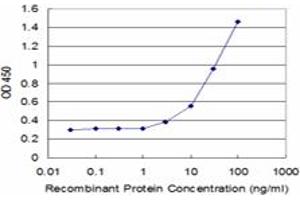 Detection limit for recombinant GST tagged CX3CR1 is approximately 3ng/ml as a capture antibody. (CX3CR1 抗体  (AA 1-36))