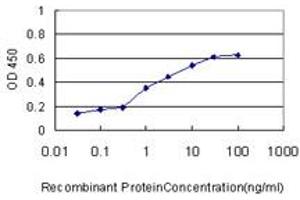 Detection limit for recombinant GST tagged HOXC4 is approximately 0. (HOXC4 抗体  (AA 160-264))