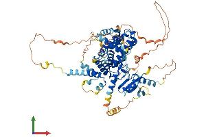 Protein Structure (PS) image for rho GTPase Activating Protein 40 (ARHGAP40) (AA 1-672) protein (His tag) (ABIN7562132)