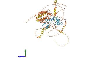 Protein Structure (PS) image for Zinc Finger and BTB Domain Containing 7B (ZBTB7B) (AA 1-539) protein (His tag) (ABIN7556145)