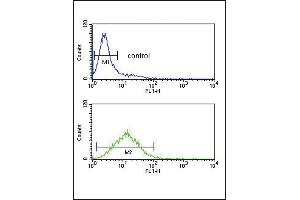 TPT1 Antibody (Center) (ABIN652444 and ABIN2842301) flow cytometric analysis of Jurkat cells (bottom histogram) compared to a negative control cell (top histogram). (TPT1 抗体  (AA 85-113))