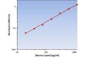 This is an example of what a typical standard curve will look like. (Leptin ELISA 试剂盒)