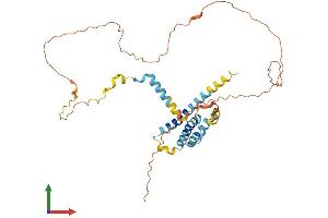 Protein Structure (PS) image for Nedd4 Family Interacting Protein 2 (NDFIP2) (AA 1-336) protein (His tag) (ABIN7549737)